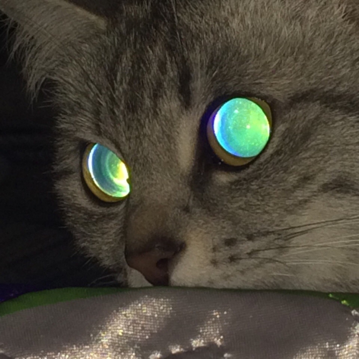 мяу