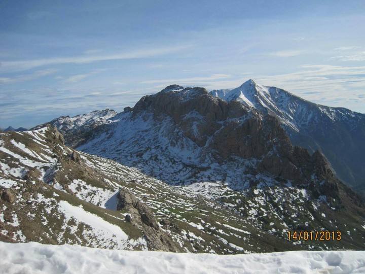 tizi
