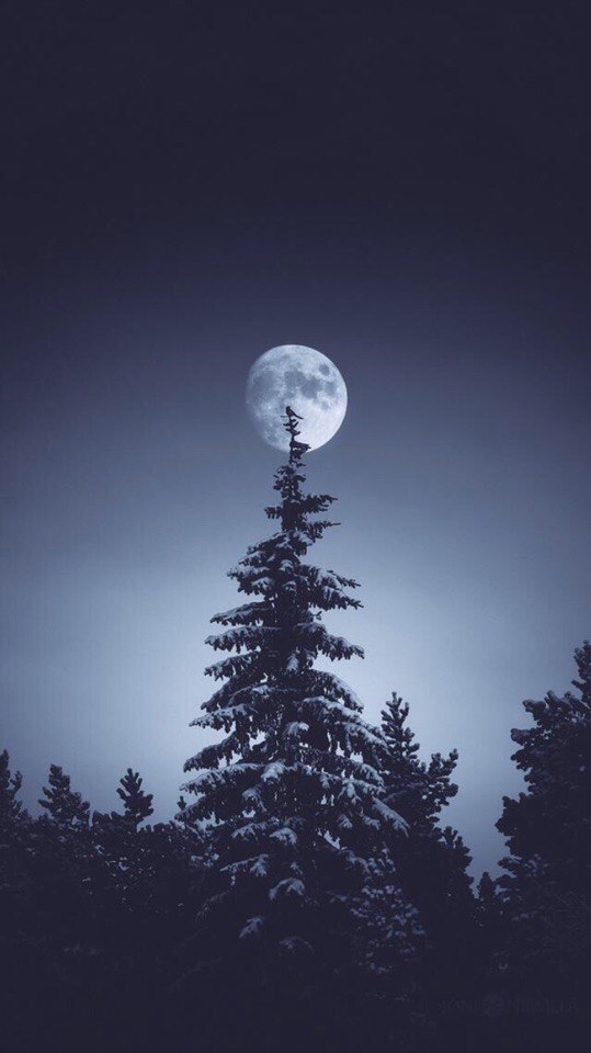 night