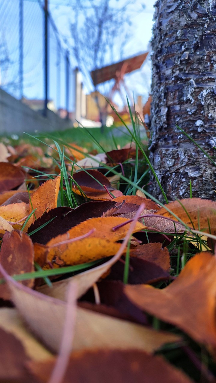 Autumn??