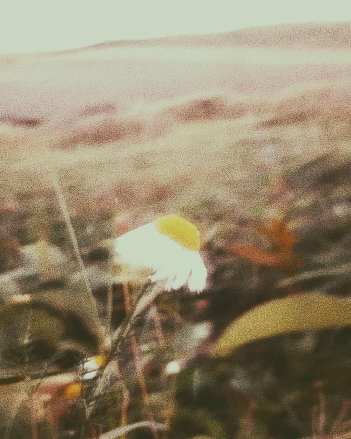 retro photo