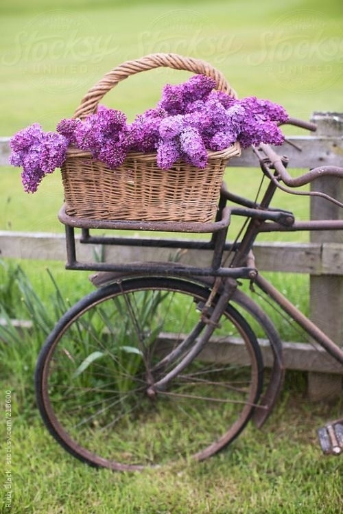 la bicicleta