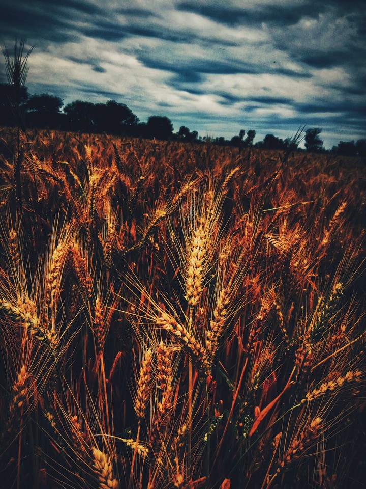.