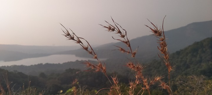 hill