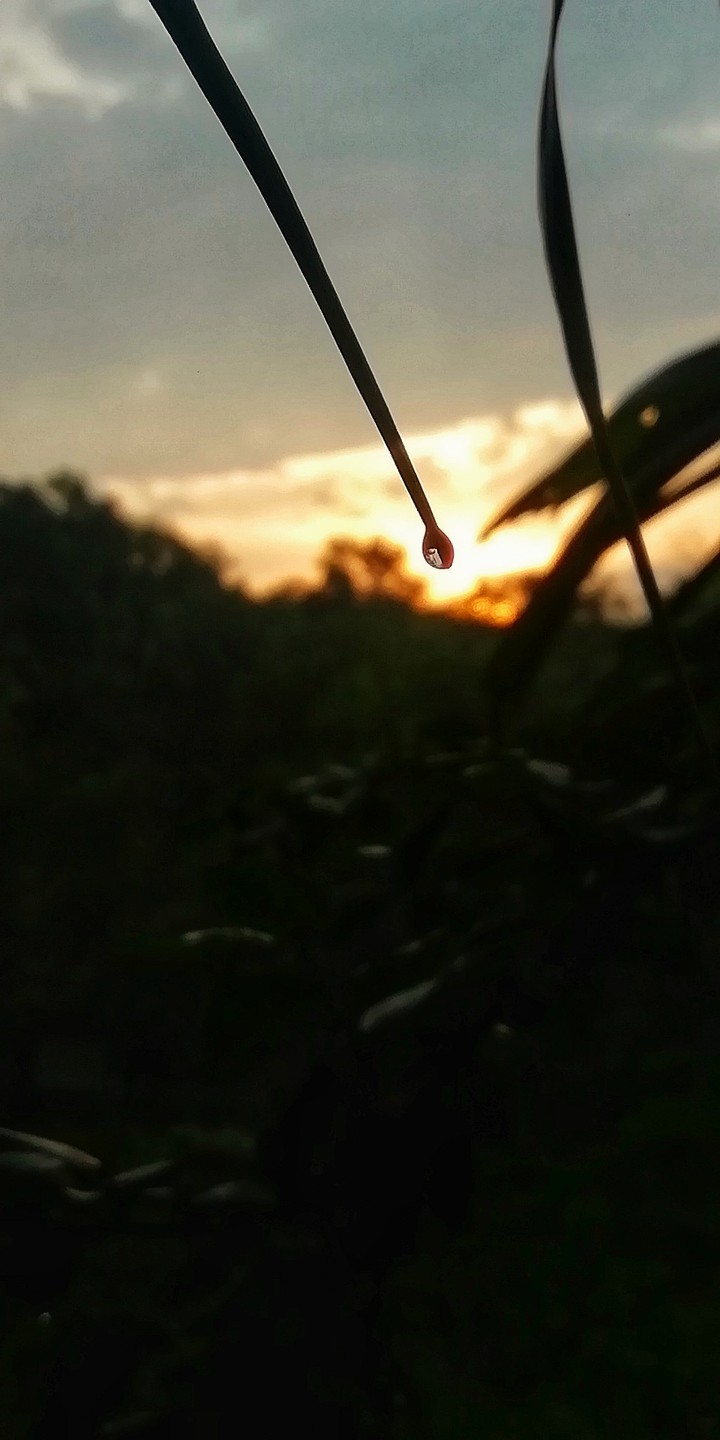 drop