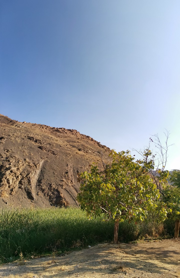 Qom kashan