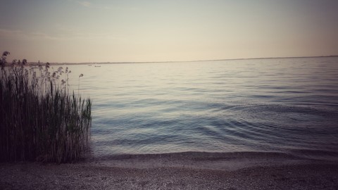 רקעים morning, sea