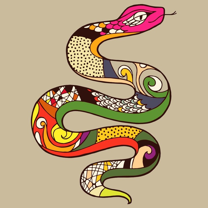 snake