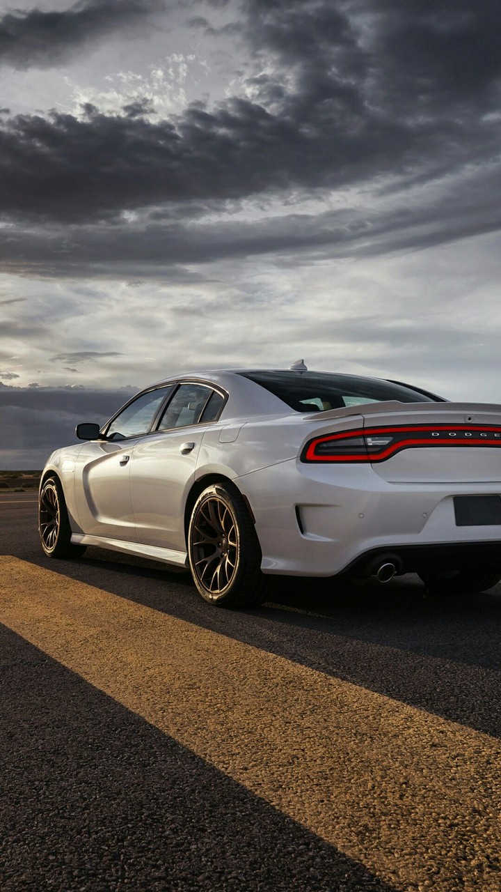 evening drive