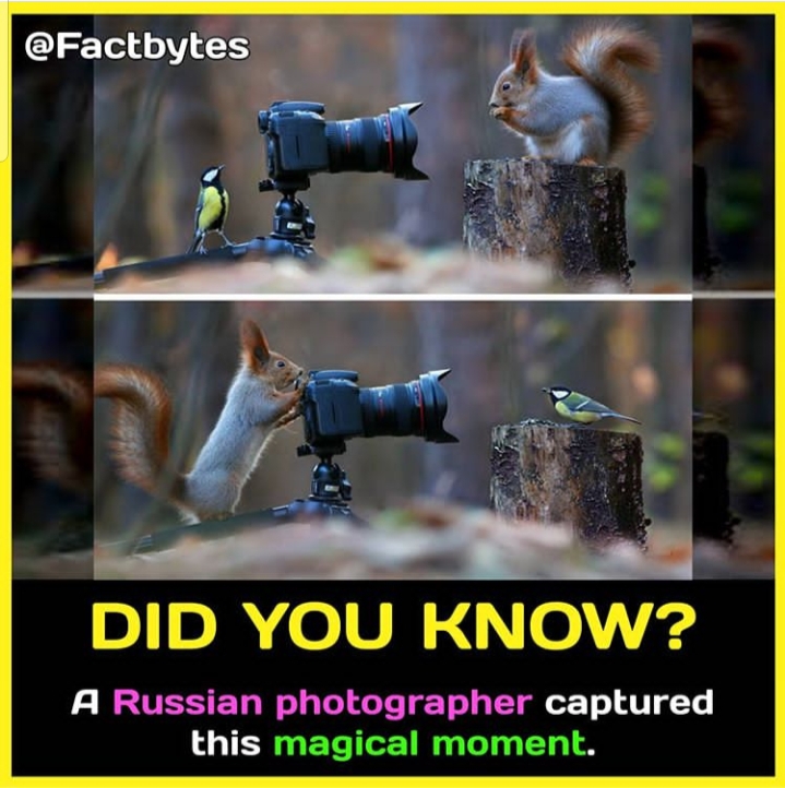 #pic#