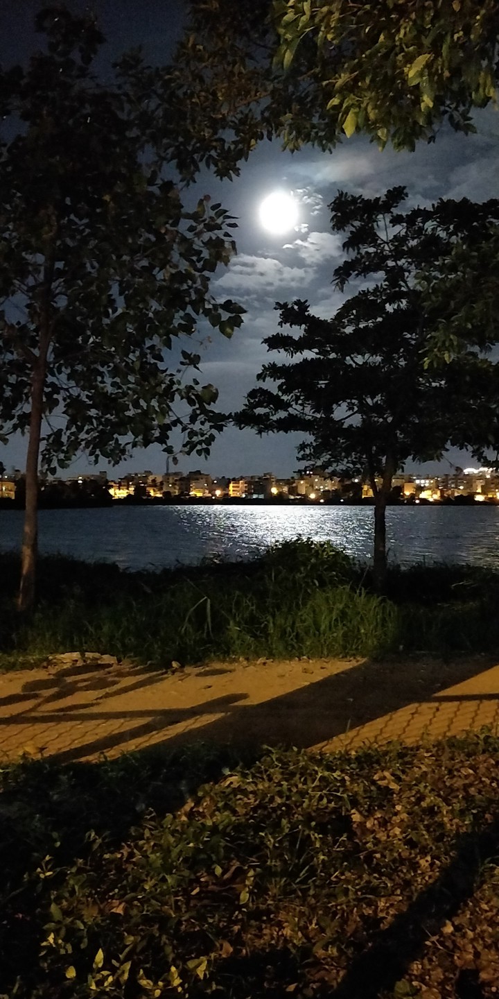 Lakeside Evening Vibes