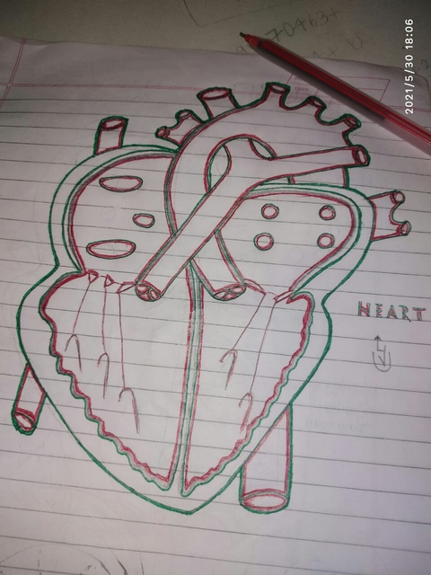 The UNBROKEN Heart