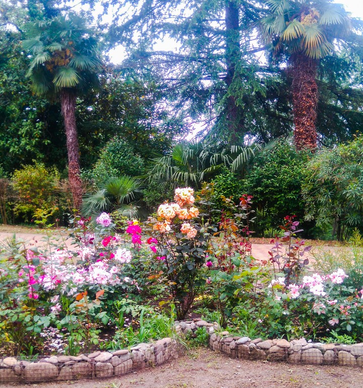 beauty of nature