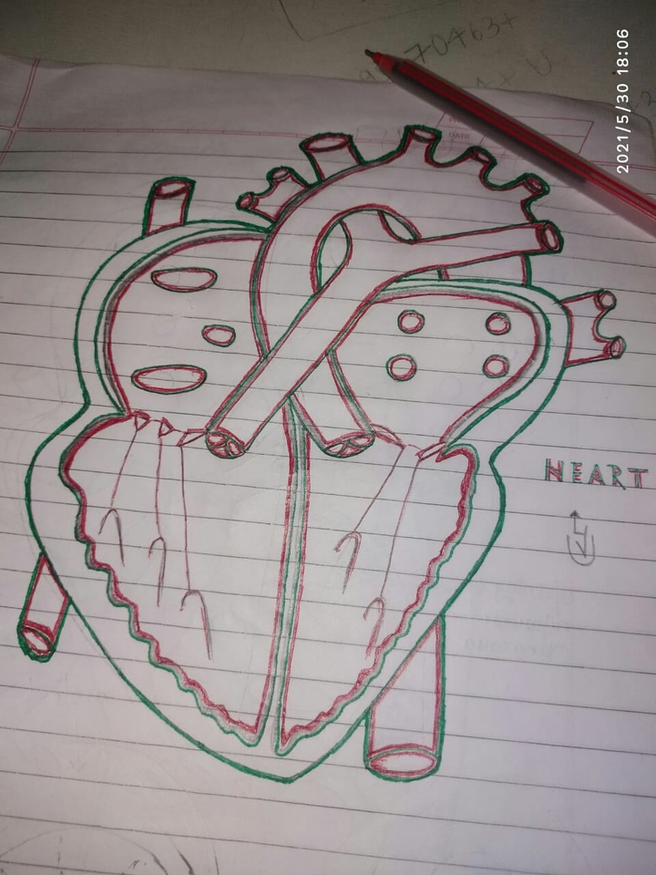 The UNBROKEN Heart