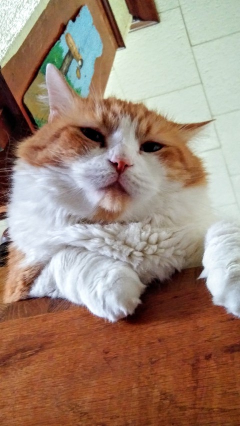 My baby boy