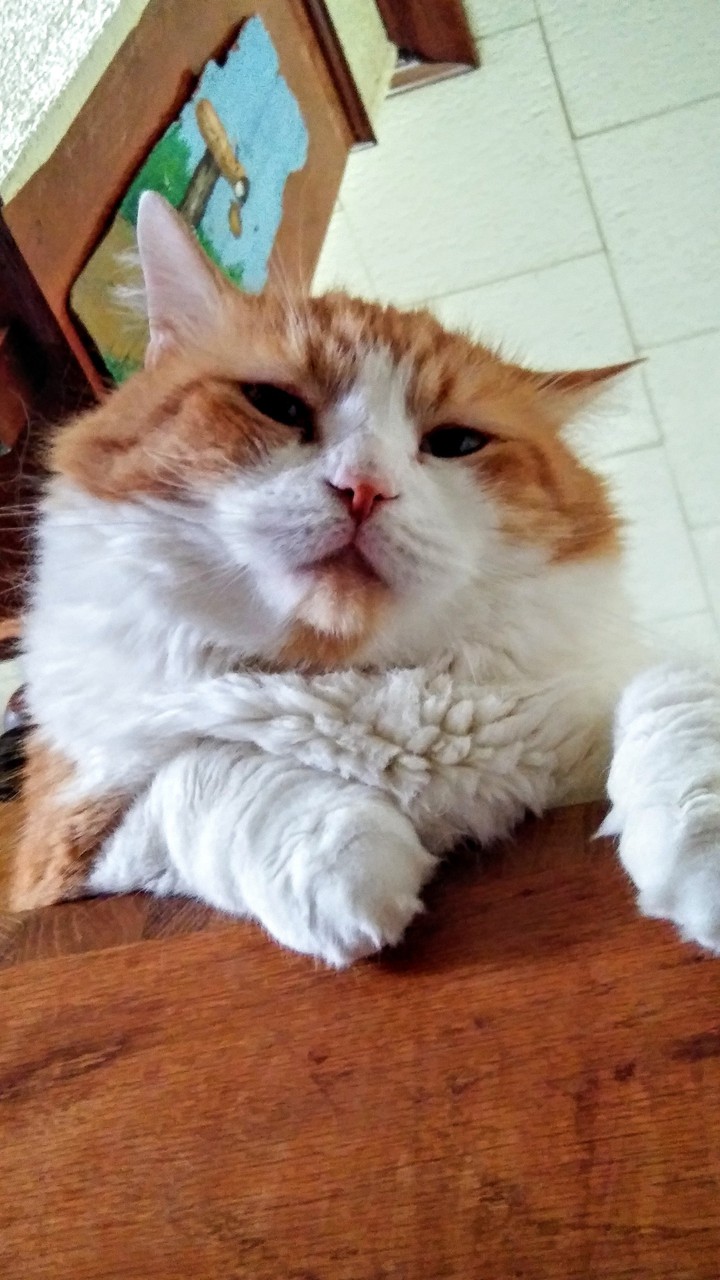 My baby boy