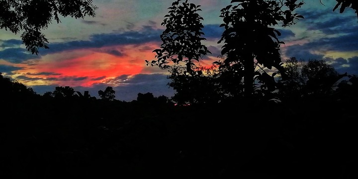 evening