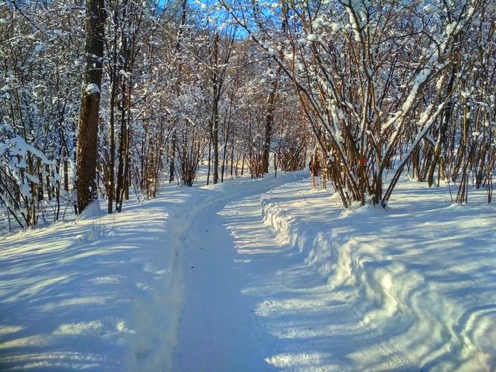 Тропа
