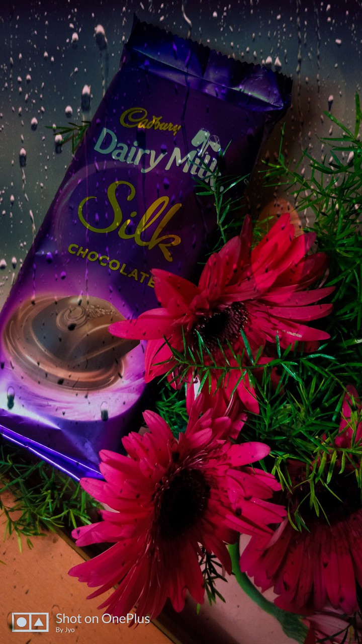 dairy milk