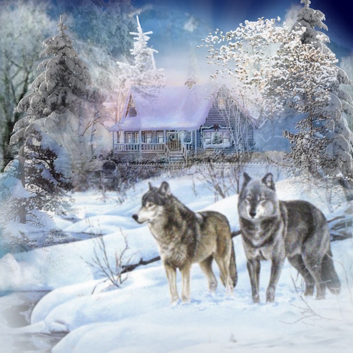 Winterzeit und Wölfe