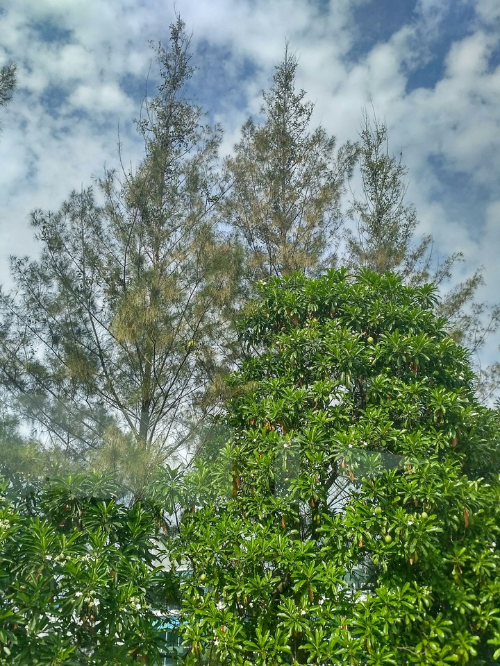 behind 3