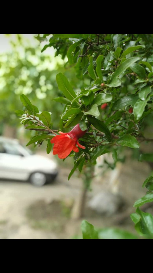 ??