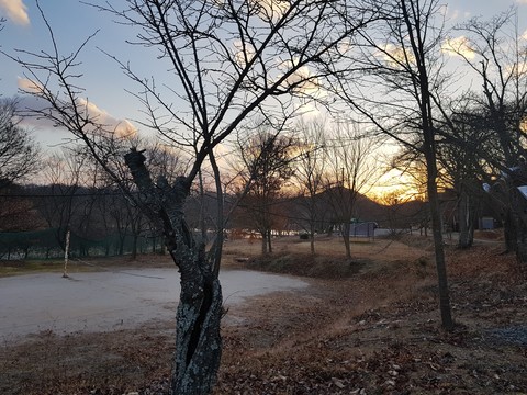 깊은 숲속 펜션에 들어가기 전
