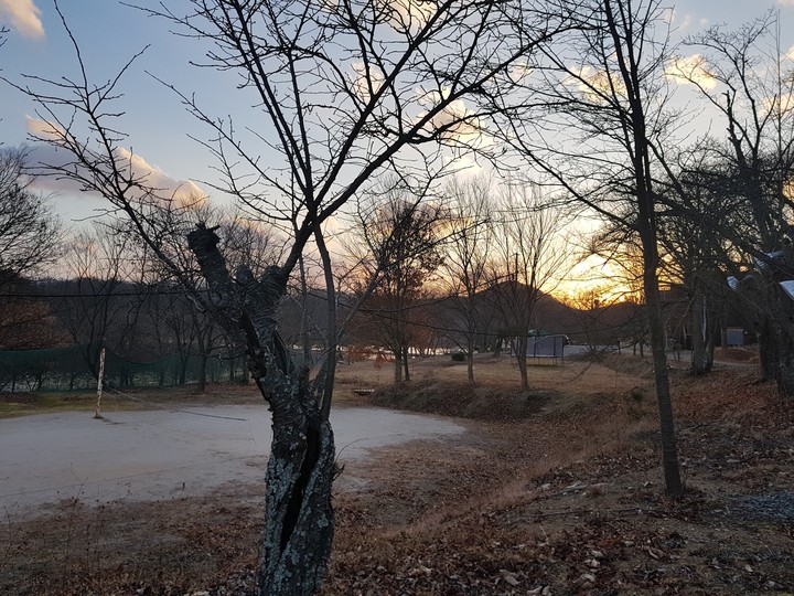 깊은 숲속 펜션에 들어가기 전