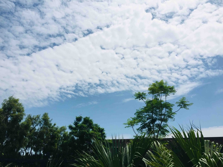clouds