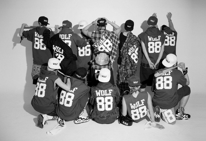 Wolf