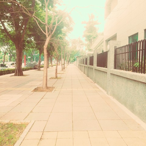 property, walkway壁紙