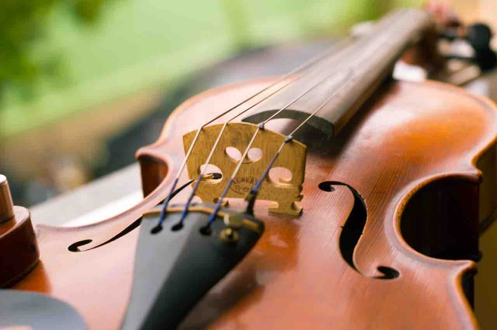 violin