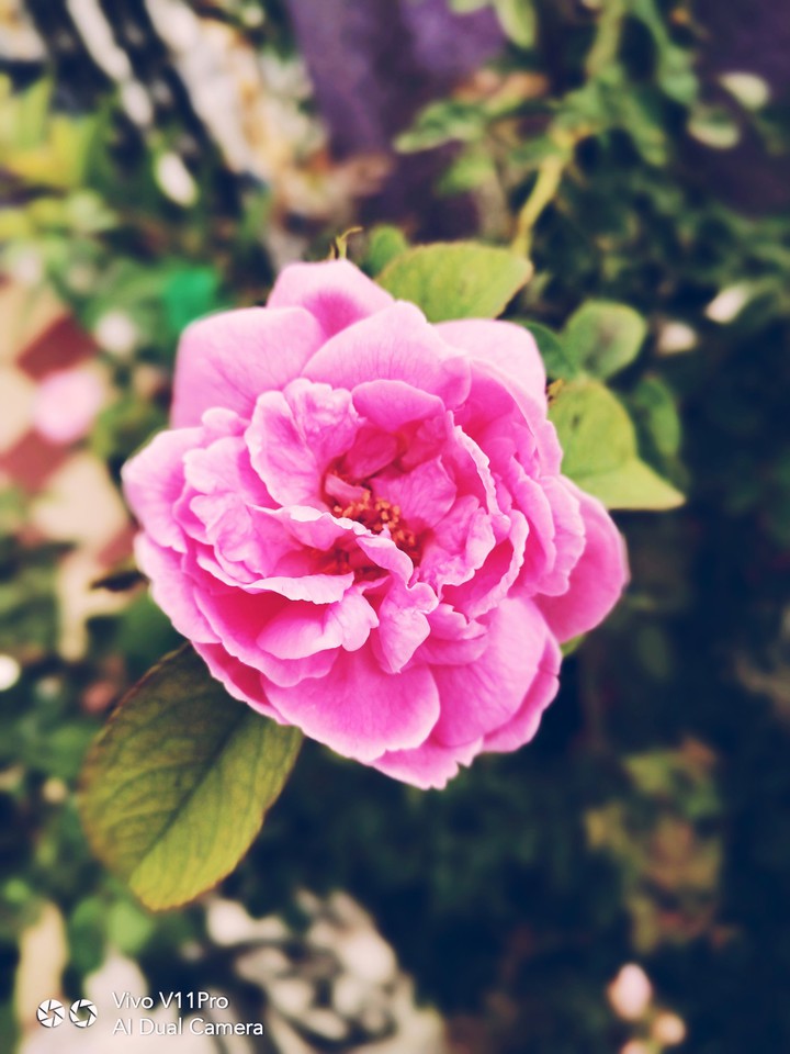 smartphone click