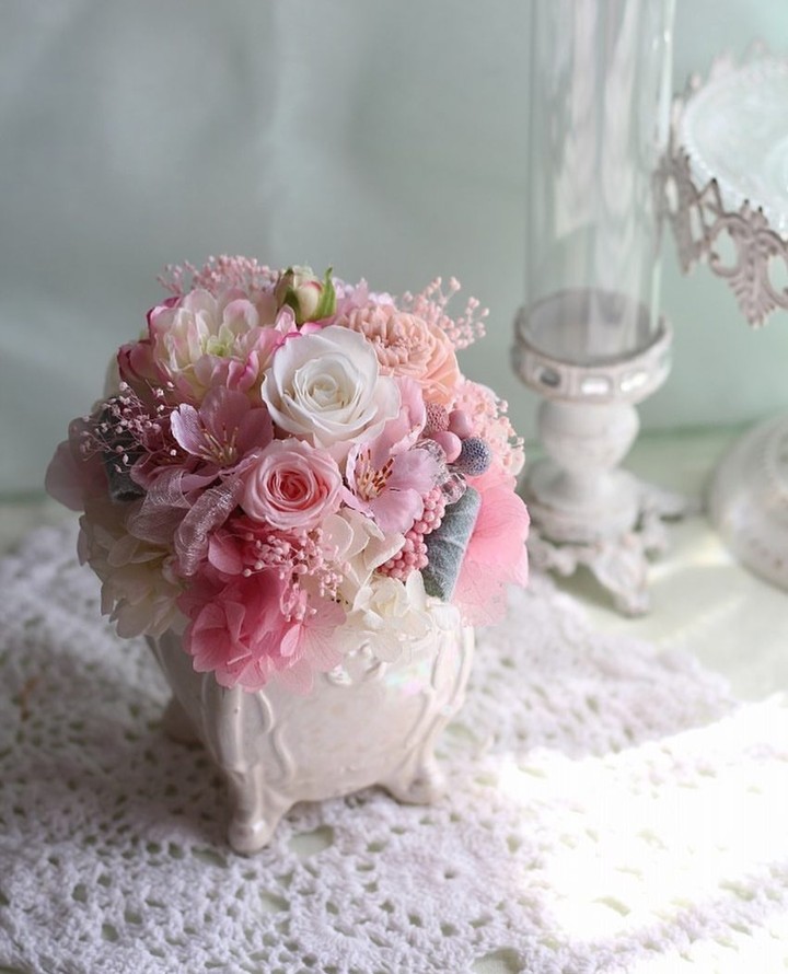 soft beauty