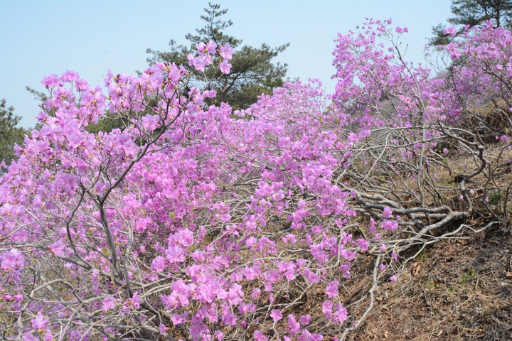 풍경이미지