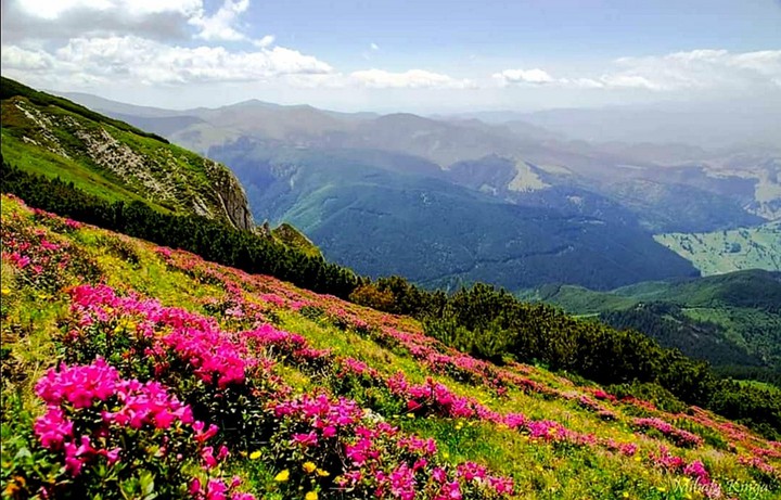 Views that enrich the soul