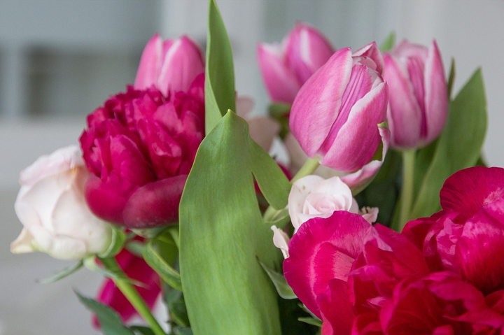 #Pink flowers