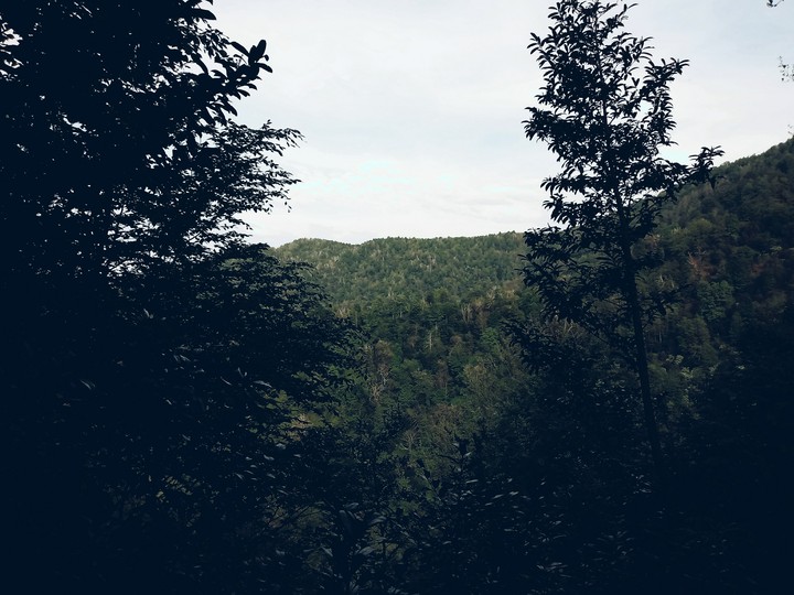 georgia