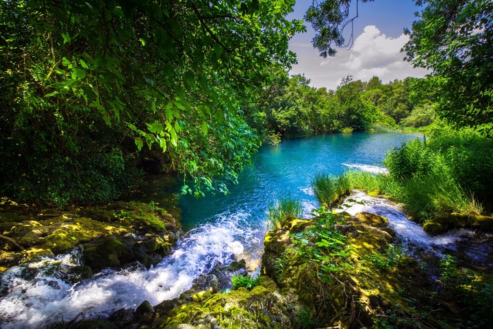 Nature