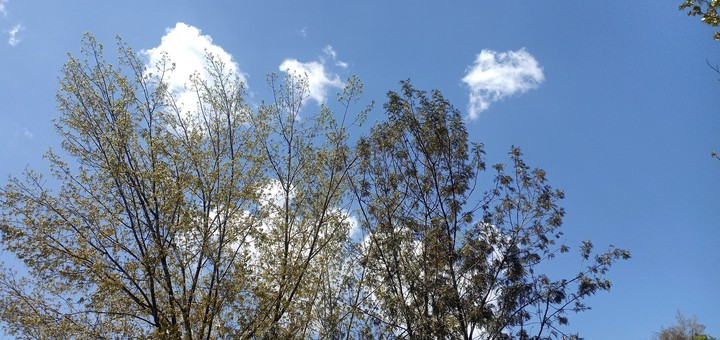 Weather