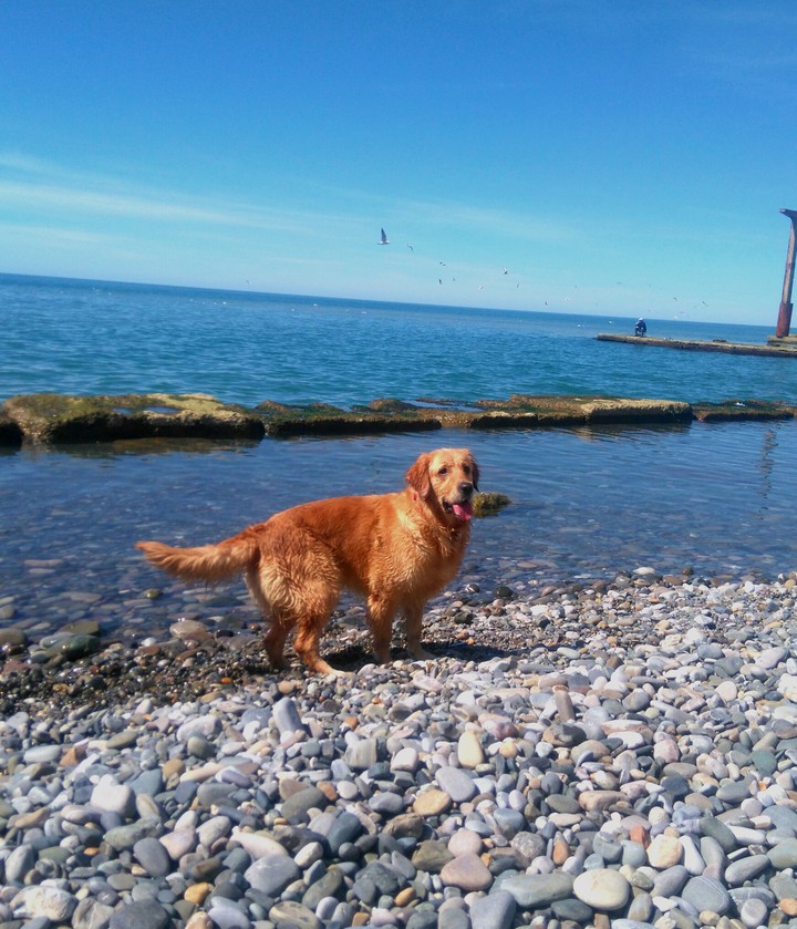 Jessie is sunbathing
