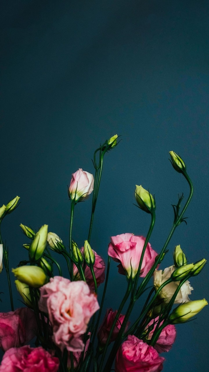 beautiful flowers