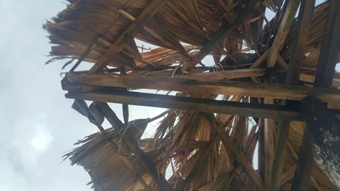 Nipa roof