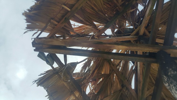Nipa roof