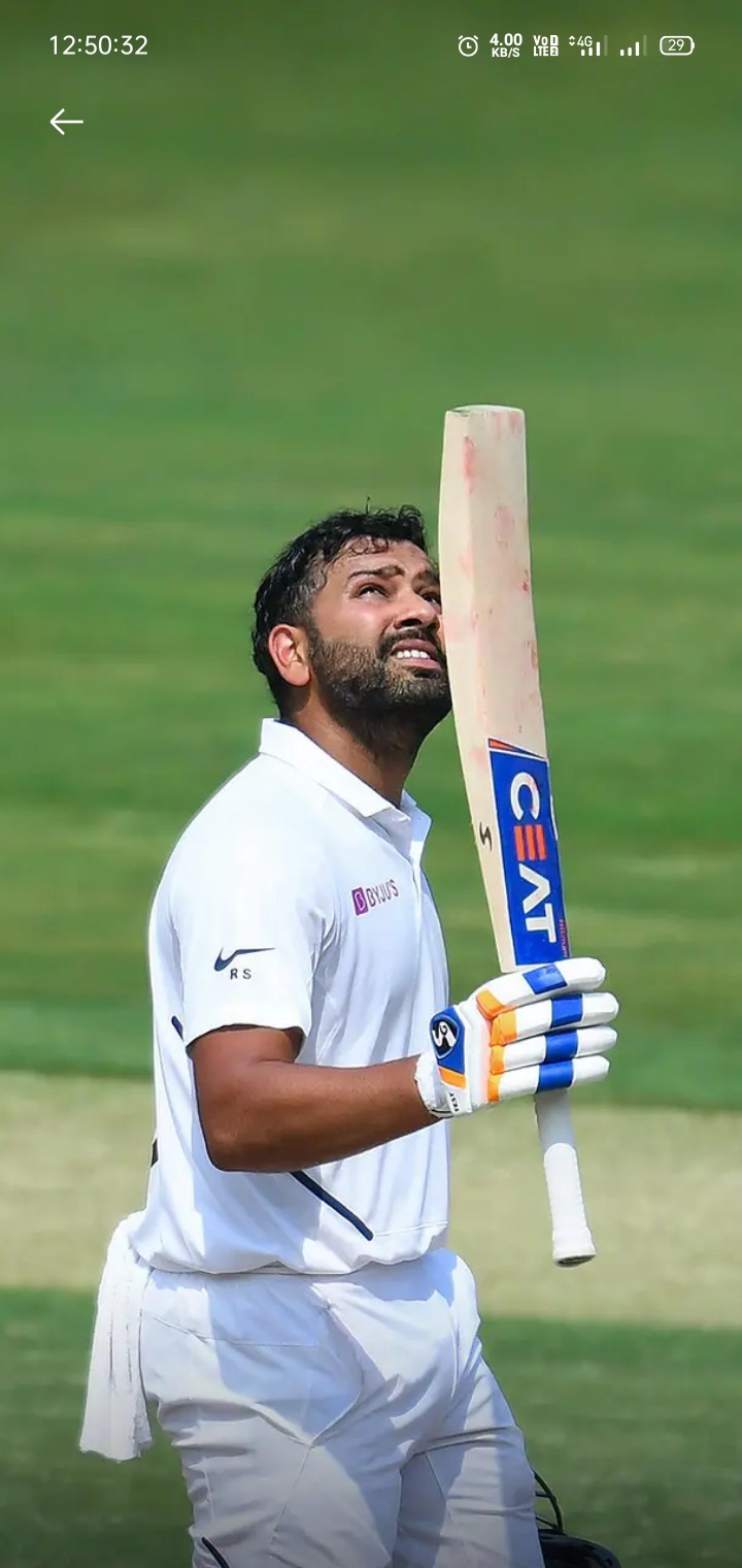 cricket