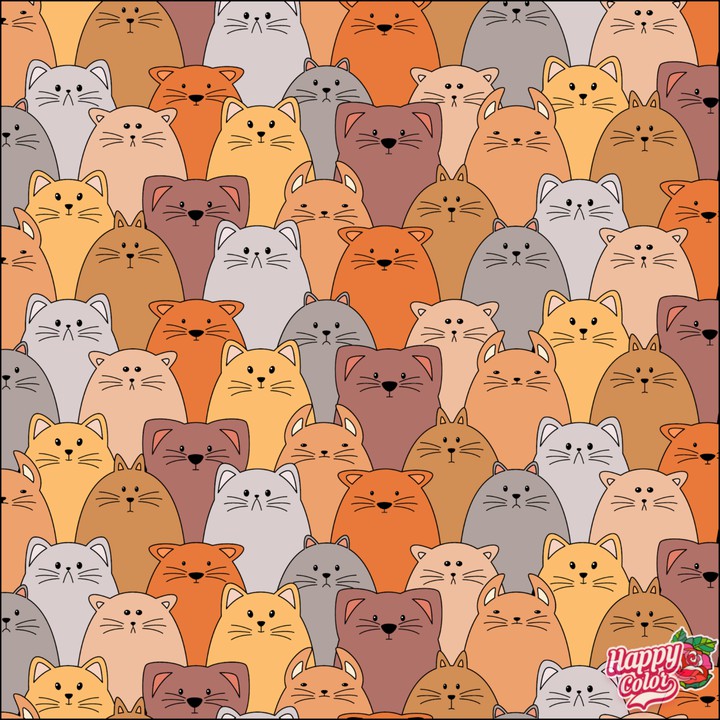 Gatos