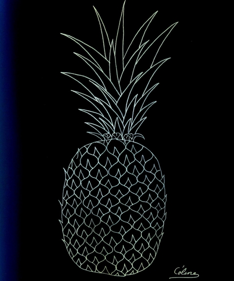 My ananas draw