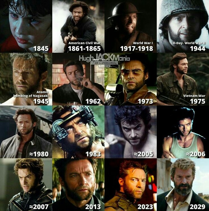 wolverine