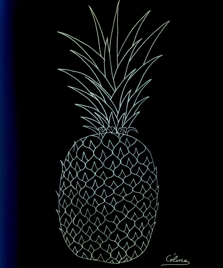 My ananas draw