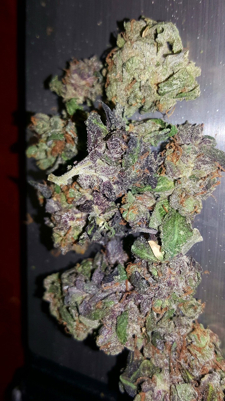 high life